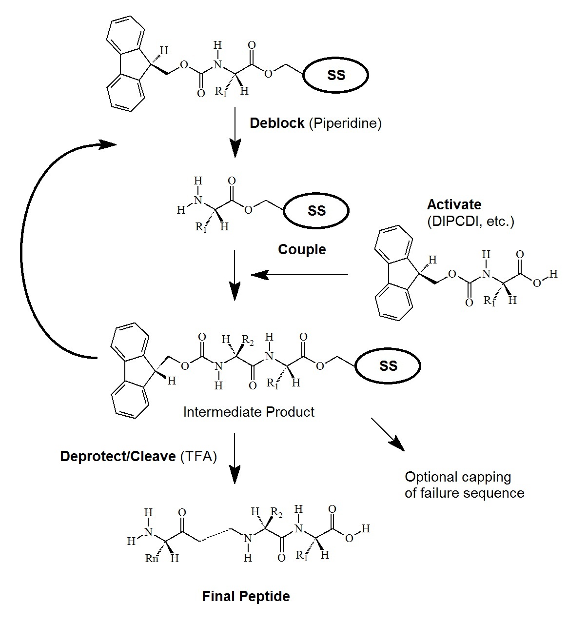 Custom Peptide Synthesis